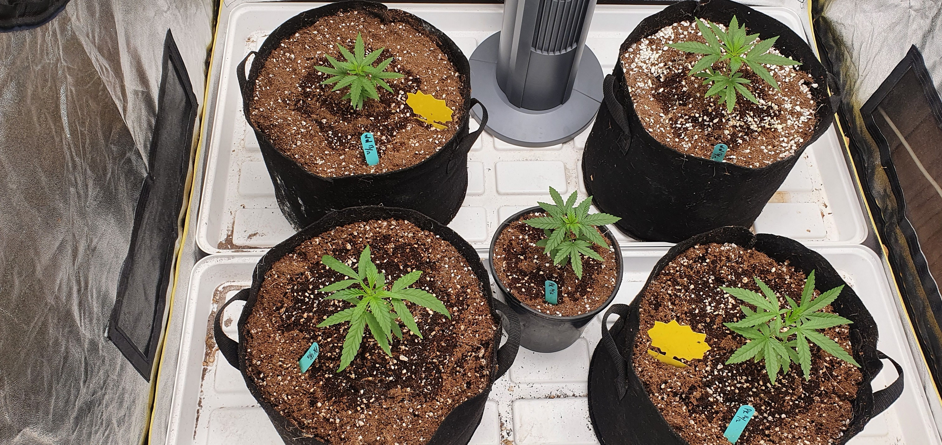 Click image for larger version

Name:	20220128_103046Grow.jpg
Views:	118
Size:	1.79 MB
ID:	555100