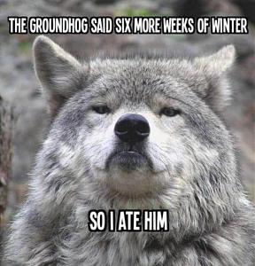 Click image for larger version

Name:	GROUNDHOG.jpg
Views:	626
Size:	159.5 KB
ID:	555583