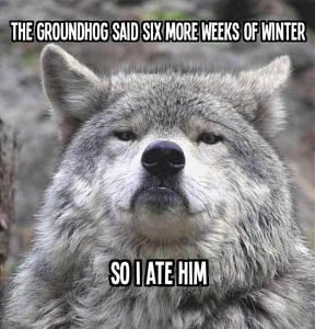 Click image for larger version

Name:	GROUNDHOG.jpg
Views:	528
Size:	159.5 KB
ID:	555583