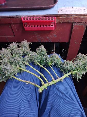 Click image for larger version

Name:	IMG_20220220_151347244.jpg
Views:	486
Size:	3.49 MB
ID:	557490