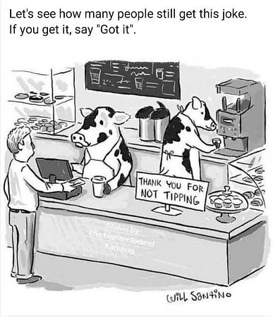 Click image for larger version

Name:	cow tipping.jpg
Views:	509
Size:	148.0 KB
ID:	559437