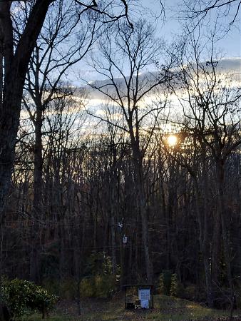 Click image for larger version

Name:	IMG_20220325_184519966_HDR.jpg
Views:	507
Size:	2.61 MB
ID:	560851