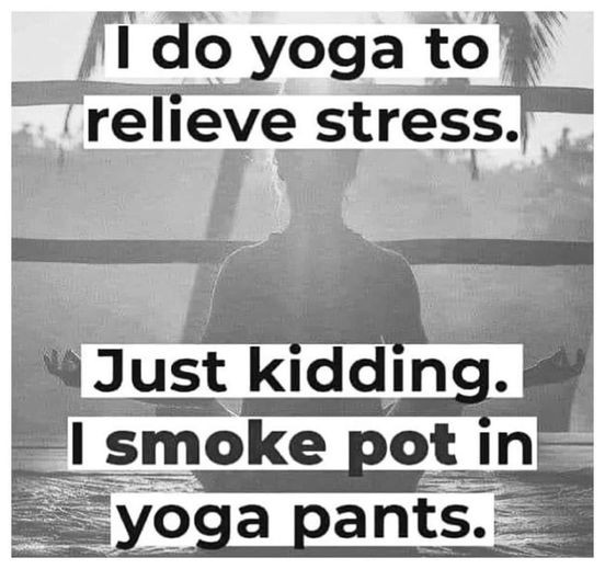 Click image for larger version

Name:	Pot.jpg
Views:	487
Size:	69.8 KB
ID:	567480