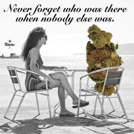 Click image for larger version

Name:	WeedMeme.jpg
Views:	500
Size:	79.6 KB
ID:	567484