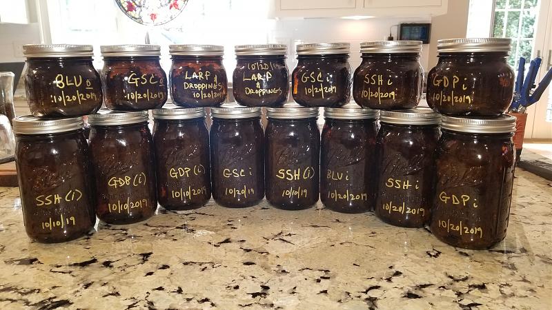 Click image for larger version

Name:	Summer2019Grow.jpg
Views:	971
Size:	1.93 MB
ID:	343653