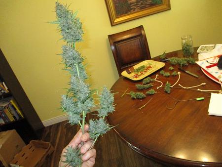 Click image for larger version

Name:	IMG_0559.JPG
Views:	882
Size:	818.7 KB
ID:	391596
