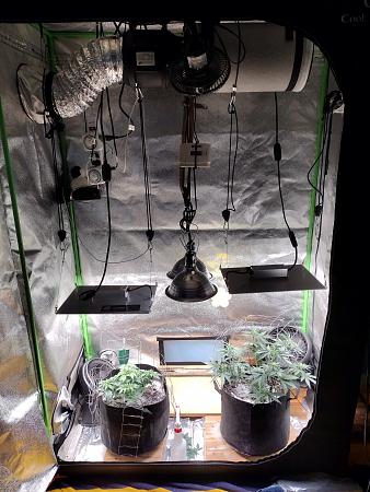 Click image for larger version  Name:	2nd Grow Setup.jpg Views:	0 Size:	3.93 MB ID:	569760