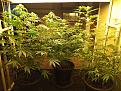 Click image for larger version

Name:	IMG_20220730_122648.jpg
Views:	475
Size:	4.67 MB
ID:	572106