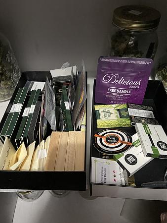 Click image for larger version

Name:	seeds.JPG
Views:	334
Size:	2.71 MB
ID:	572348