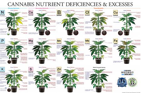 Click image for larger version

Name:	nutedefien.jpeg
Views:	298
Size:	1.01 MB
ID:	572471