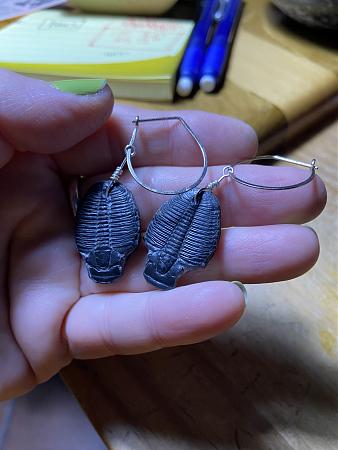 Click image for larger version

Name:	trilobites.JPG
Views:	473
Size:	2.33 MB
ID:	572580