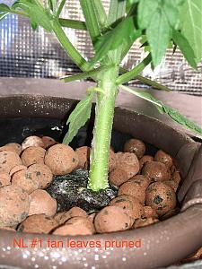 Click image for larger version

Name:	IMG_4373.jpg
Views:	194
Size:	866.6 KB
ID:	574506