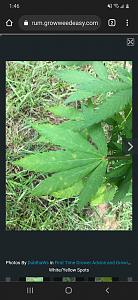 Click image for larger version

Name:	Screenshot_20220824-134608_Chrome.jpg
Views:	348
Size:	274.2 KB
ID:	574602