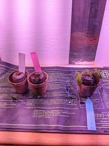 Click image for larger version

Name:	IMG_20200105_184102.jpg
Views:	869
Size:	3.09 MB
ID:	363483