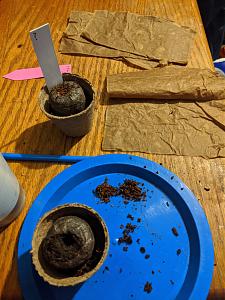 Click image for larger version

Name:	IMG_20200104_013834.jpg
Views:	795
Size:	3.87 MB
ID:	362859