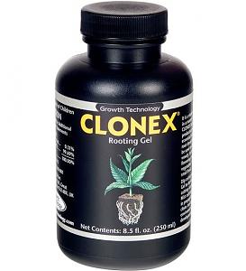 Click image for larger version

Name:	clonex-gel.jpg
Views:	625
Size:	47.5 KB
ID:	216960