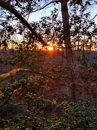 Click image for larger version

Name:	IMG_20221119_164011063_HDR.jpg
Views:	406
Size:	3.95 MB
ID:	581805
