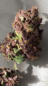 Click image for larger version

Name:	purp2.jpg
Views:	422
Size:	493.8 KB
ID:	581891