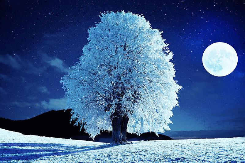 Click image for larger version

Name:	moonlit-winter-night.jpg
Views:	400
Size:	235.4 KB
ID:	583450