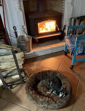 Click image for larger version

Name:	dog wood stove.jpg
Views:	393
Size:	2.30 MB
ID:	583960