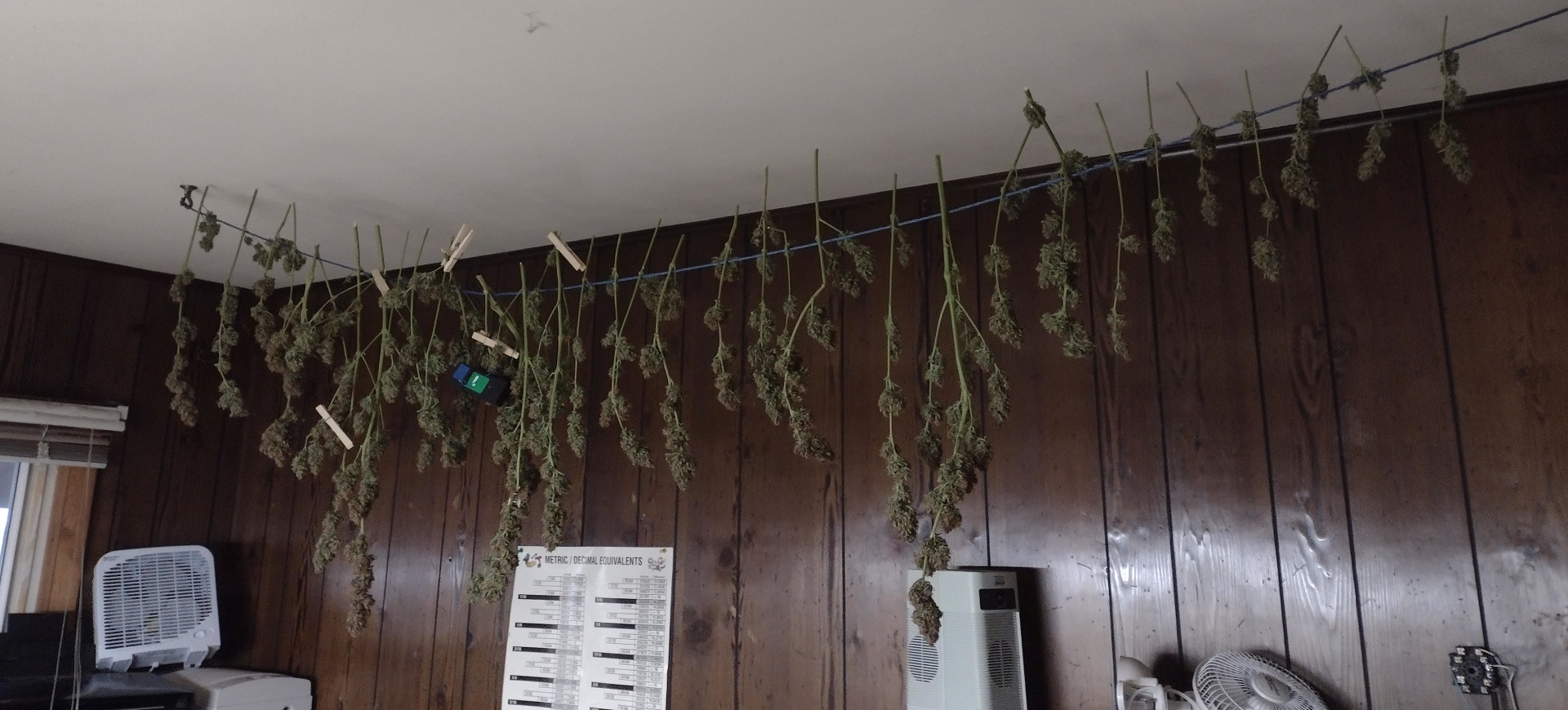 Click image for larger version

Name:	Bubba Kush auto 2 22 hanging.jpg
Views:	235
Size:	389.2 KB
ID:	585354