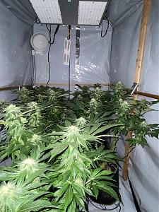Click image for larger version

Name:	IMG_7270.jpg
Views:	614
Size:	2.32 MB
ID:	586648