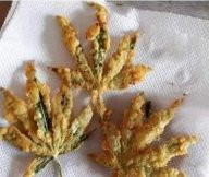 Click image for larger version

Name:	Fried fan leaves.jpg
Views:	261
Size:	14.6 KB
ID:	588014
