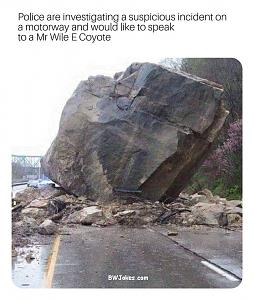 Click image for larger version

Name:	coyote.jpg
Views:	424
Size:	173.0 KB
ID:	588901