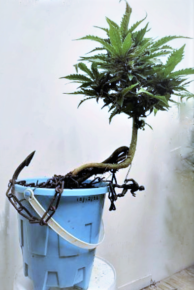 Click image for larger version

Name:	Going2Fast2 (3).png
Views:	462
Size:	344.7 KB
ID:	590559