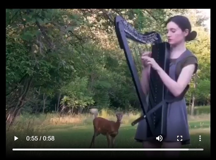 Click image for larger version

Name:	Harp and Bambi.jpg
Views:	206
Size:	101.1 KB
ID:	590859