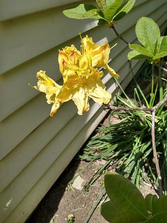 Click image for larger version

Name:	IMG_20230426_124306861_HDR.jpg
Views:	419
Size:	2.10 MB
ID:	594847