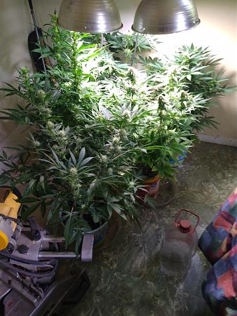 Click image for larger version

Name:	IMG_20230510_142754014.jpg
Views:	216
Size:	2.75 MB
ID:	595623