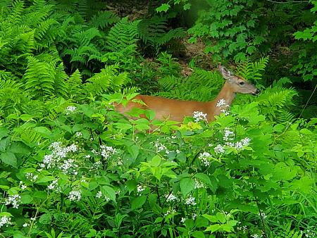 Click image for larger version

Name:	20230612_090503.jpg
Views:	497
Size:	2.49 MB
ID:	597543