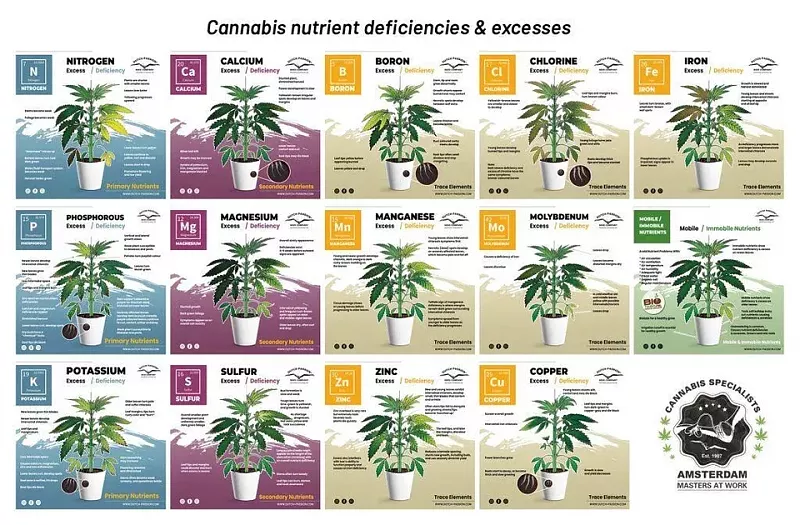 Click image for larger version

Name:	Deficiencies chart.webp
Views:	391
Size:	120.8 KB
ID:	598785