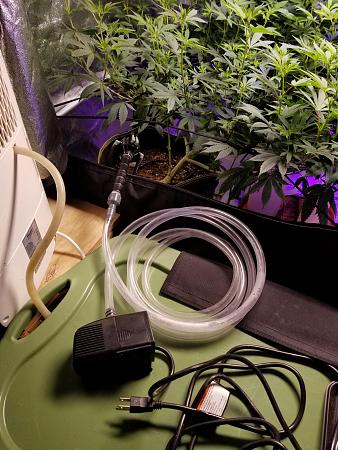 Click image for larger version

Name:	auto irrigate.jpg
Views:	463
Size:	2.34 MB
ID:	603591