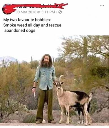 Click image for larger version

Name:	main-qimg-4640bf7f7f13d0cb32ea2b3db82624bf.jpeg
Views:	979
Size:	112.6 KB
ID:	360789