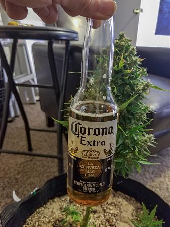 Click image for larger version

Name:	LRM_EXPORT_577348085837456_20190227_180158279.jpeg
Views:	405
Size:	644.3 KB
ID:	295039