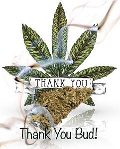 Click image for larger version

Name:	IMG_1019.jpg
Views:	371
Size:	58.3 KB
ID:	613794
