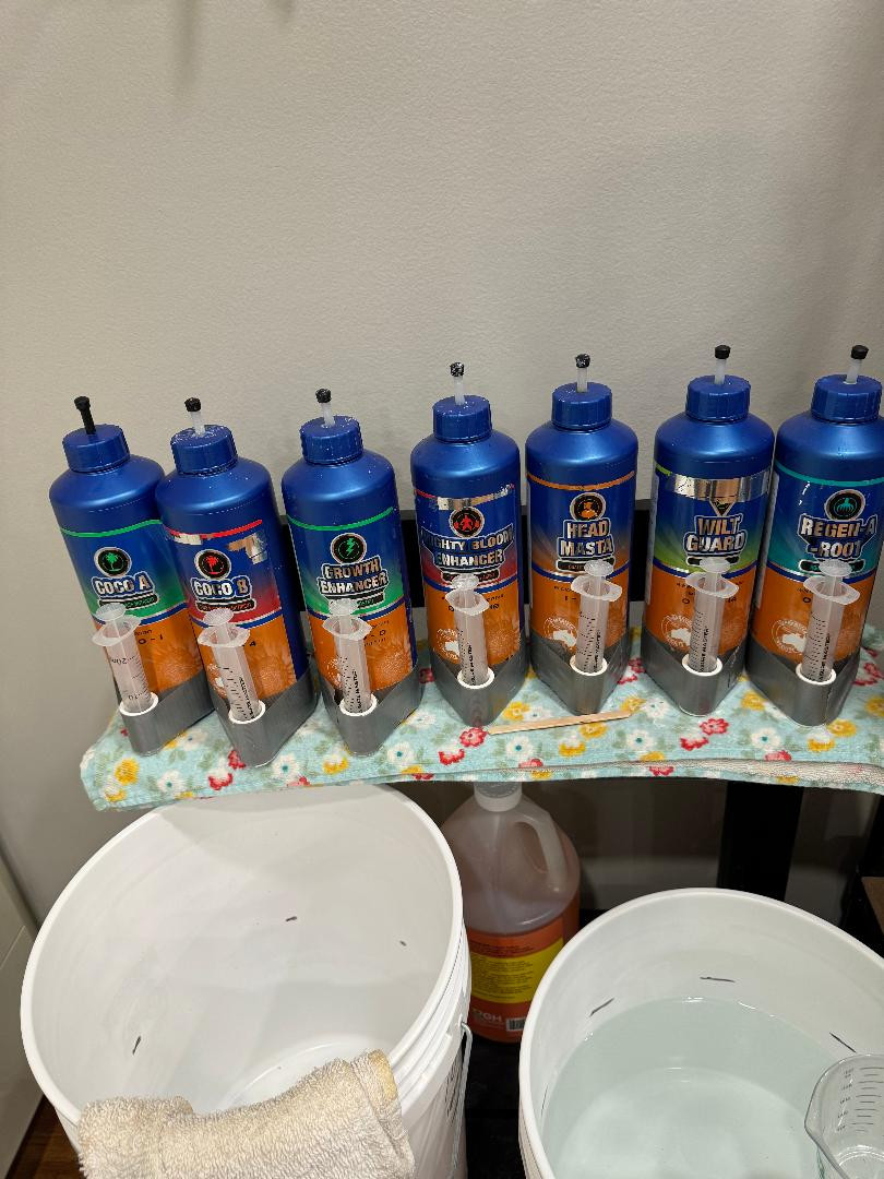 Click image for larger version

Name:	Bottles.jpg
Views:	93
Size:	210.7 KB
ID:	614097