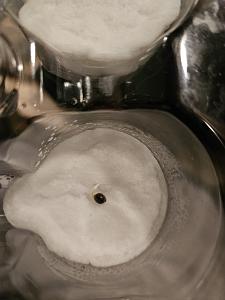 Click image for larger version

Name:	Grow 8.jpg
Views:	286
Size:	397.2 KB
ID:	615522