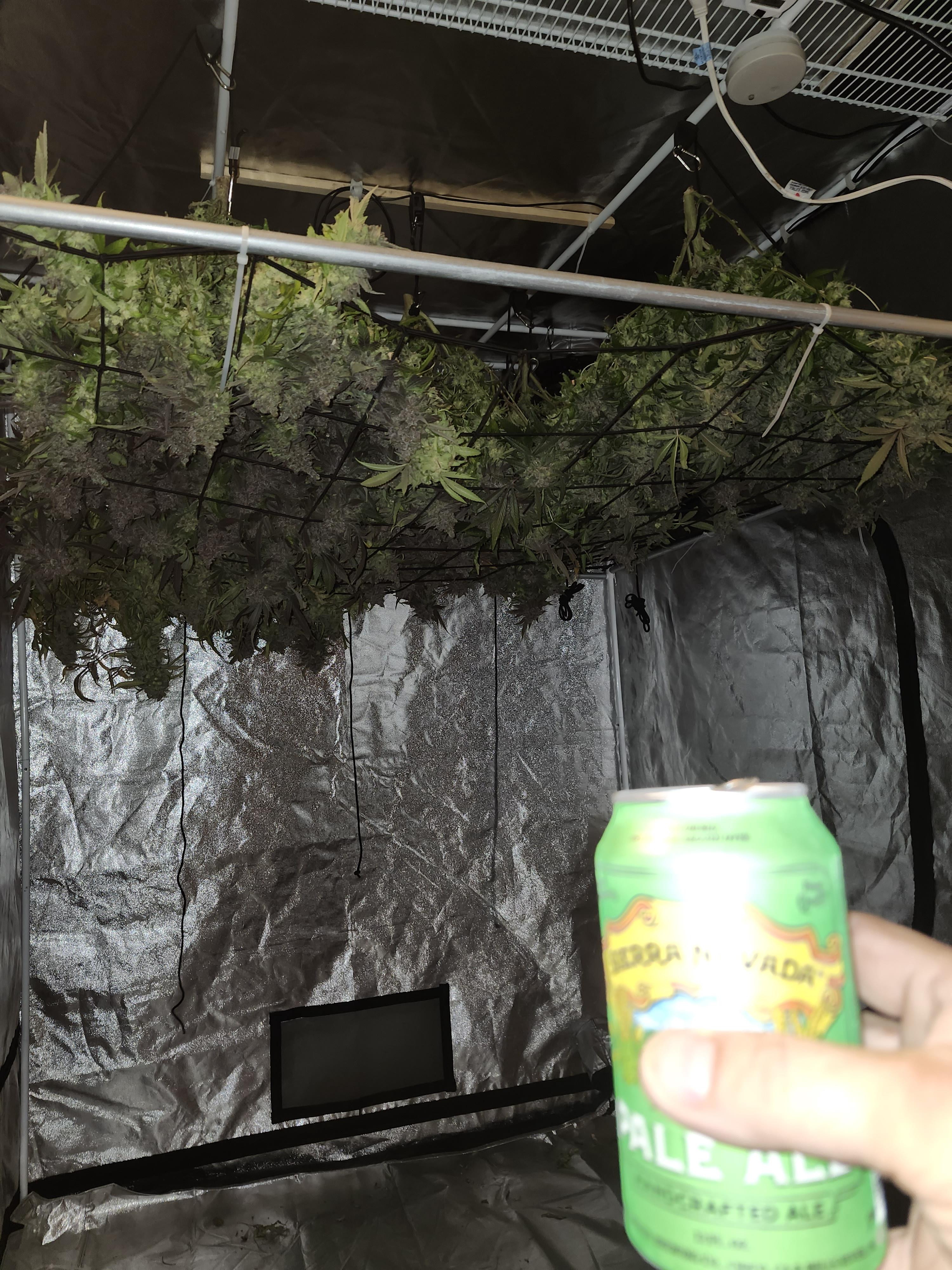 Click image for larger version

Name:	03102024 Sierra Nevada Time.jpg
Views:	152
Size:	2.28 MB
ID:	616686