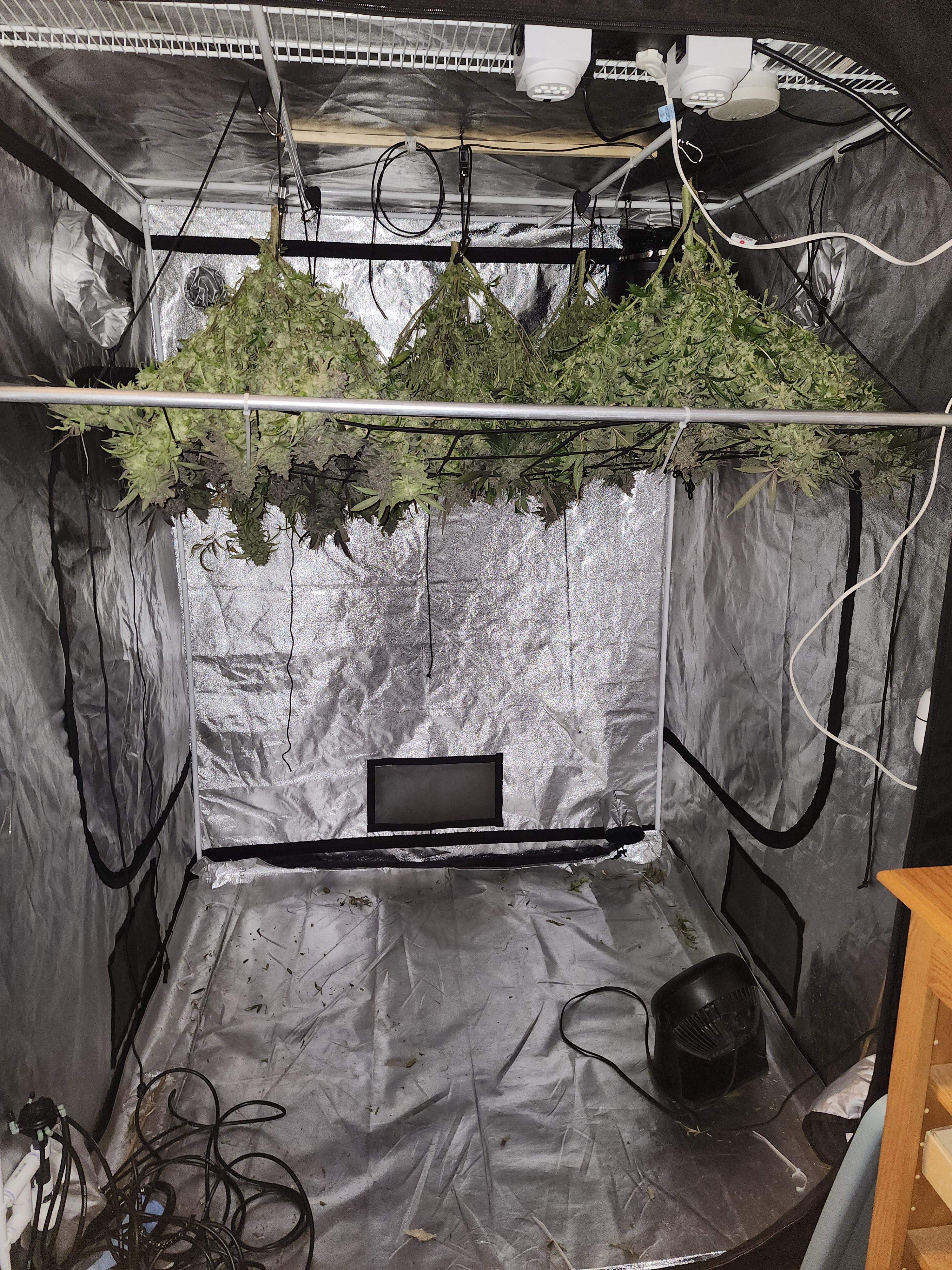 Click image for larger version

Name:	03102024 Hung Out To Dry.jpg
Views:	146
Size:	3.24 MB
ID:	616687