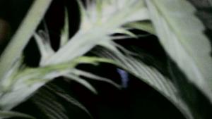 Click image for larger version

Name:	2024-03-11-123235.jpg
Views:	139
Size:	86.0 KB
ID:	616736