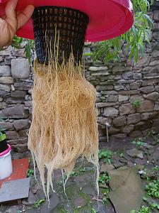 Click image for larger version

Name:	20180618_123953.jpg
Views:	139
Size:	3.47 MB
ID:	216235
