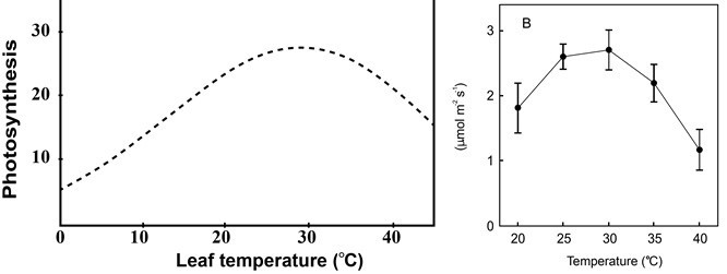 Click image for larger version

Name:	co2-Temp-graph (1).jpg
Views:	404
Size:	24.5 KB
ID:	373430
