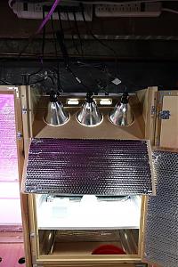 Click image for larger version

Name:	Custom Cabinets 16.jpg
Views:	397
Size:	223.5 KB
ID:	361498