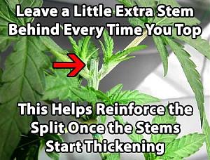 Click image for larger version

Name:	top.jpg
Views:	204
Size:	57.6 KB
ID:	298092