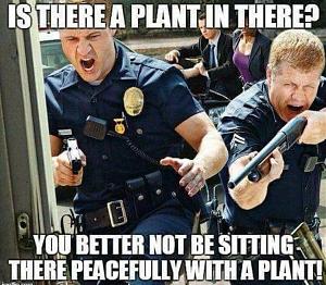 Click image for larger version

Name:	DUFty_bVAAUAzaR.jpg
Views:	281
Size:	151.3 KB
ID:	288201