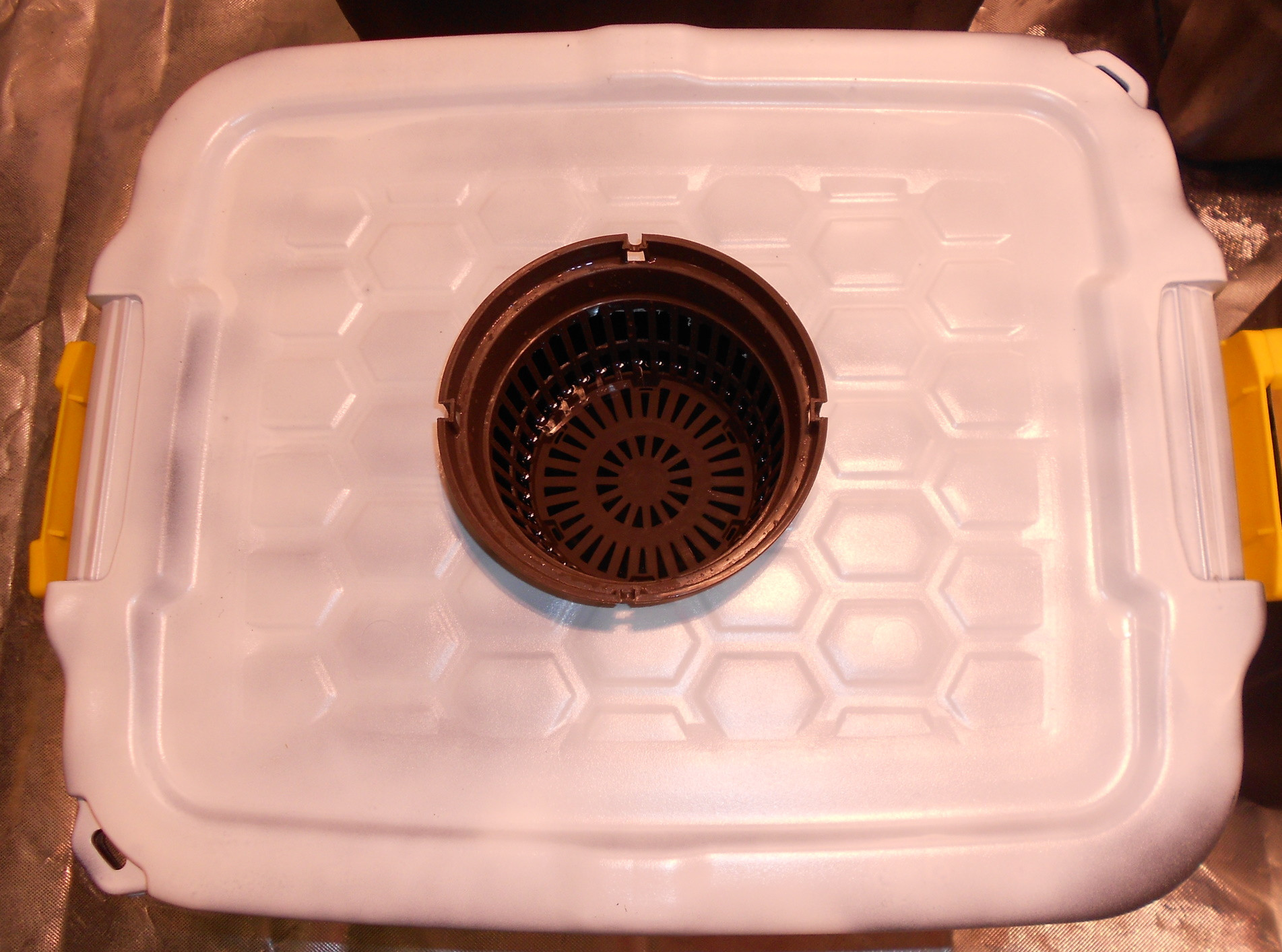 Click image for larger version

Name:	Prep - Bucket with netpot - Copy.jpg
Views:	224
Size:	532.1 KB
ID:	396049