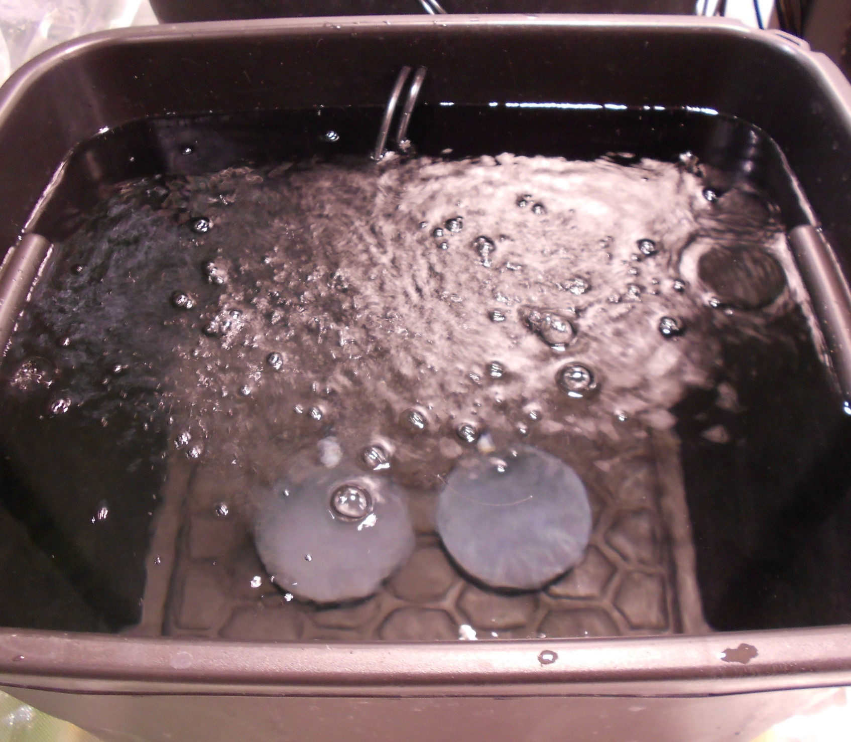 Click image for larger version

Name:	Prep - Bucket with 2 airstones - Copy.jpg
Views:	235
Size:	566.5 KB
ID:	396048